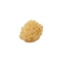 Suavinex™ Éponge en fibre naturelle Moyenne 1 u.