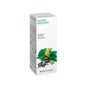 Specchiasol Solution Hydroalcoolique 29 Damiana 50ml