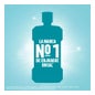 Listerin Menthol Goût Plus Léger 1000ml