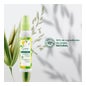 Klorane Spray Junior Soin Démêlant Miel 125ml