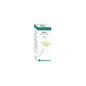Huile Essentielle Bio Fenouil 10ml