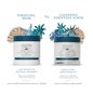 Christophe Robin Masque Purifiant À La Boue Thermale 250ml