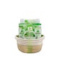 Idc Institute Aloe Vera Bath Conjunto de 4 Unidades