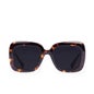 Hawkers Lunette Solaire Butterfly Carey Night 1ut