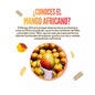 HSN Extracto de Mango Africano 10:1 400mg 120vcaps