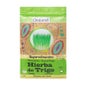 Hierba De Trigo Bio Super Alimentos Drasanvi 125g *