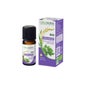 Naturactive Coriandre He Bio 10ml