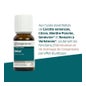La Compagnie Des Sens Détox Solution Buvable 15ml