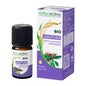 Naturactive He Giroflier Bio 5