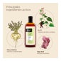 Shampoing 100% vert Nuggela & Sulé Premium 250 ml