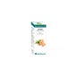 Huile Essentielle Bio Gingembre 10ml