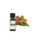 Voshuiles Extrait Naturel De Graines De Café 5ml