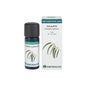 Huile Essentielle Bio Huile d'Eucalyptus 10ml