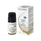 Naturactive Huile Essentielle Laurier Noble Bio 5ml