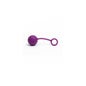 Irisballs Pelvic Training Balls 1und