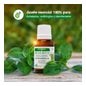 Aceite Esencial Arbol Del Te Soria Natural 15ml *