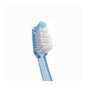 Brosse à dents moyenne Vitis 1ud