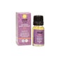 Auroshikha Jardin de la nature Encens Musc Fragrance 20 Bâtonnets