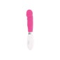 Vibrateur Paul Glossy Rose