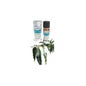Le Comptoir Aroma Huile Essentielle de Verveine Exotique 10mL