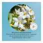 Segle Skin Factor Cream 50ml