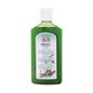 Intea Shampooing Thé Vert & Menthe Cheveux Gras 250ml