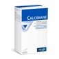 Pileje Calcibiane 30 Sachets