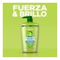 Shampooing Garnier Fructis Strength &amp; Shine 360ml