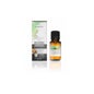 Romarinus Verbenone (rosmarinus Officinalis) Bio 30ml Terpénique Terpénique