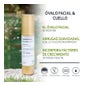 Sesderma Factor G Renew Ovale du Visage et du Cou 50ml