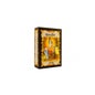 Radhe Shyam Henné noir 100ml