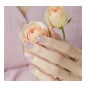 Ohora Gel Nail Strips N Blooming Mauve 30uds