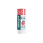 Dermophil Stick Kids Fraise 4g