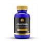Phytofarma Cholestérol 90 gélules