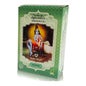 Radhe Shyam Traitement Capillaire Ayurvédique Moringa 100g