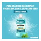 Listerine Bain de bouche Menthol Saveur douce 2X1000ml