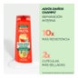 Shampooing Garnier Fructis Goodbye Damage 360ml