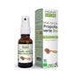 Propos'Nature Spray Buccal de Propolis Verte Bio 15 ml