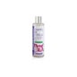 Shampooing à l'oignon Extrait 250 ml Prism naturel Prisme naturel