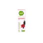 Pharmascience Huile Essentielle Wintergreen Bio 10ml
