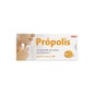 Sawes Bonbons à la propolis goût orange sans sucre 22g