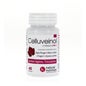 Natural Nutrition Celluveinol Bio 60 Gélules