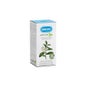Filtres Manasul Detox Bio 25
