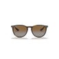 Ray-Ban Lunettes de Soleil Erika Rb4171 1ut