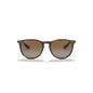 Ray-Ban Lunettes de Soleil Erika Rb4171 1ut Ray-Ban Lunettes de Soleil Erika Rb4171 1ut