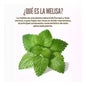 HSN Extracto de Melisa 15:1 500mg 120vcaps