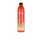 Redken Frizz Dismiss Shampooing 500ml