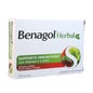 Reckitt Benckiser Benagol Herbal Menthe etCerise 24 Pastilles