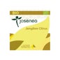Josenea gingembre agrumes bio boîte 15 pyramides