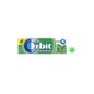 Orbit Peppermint Chewing Gum 10 pièces